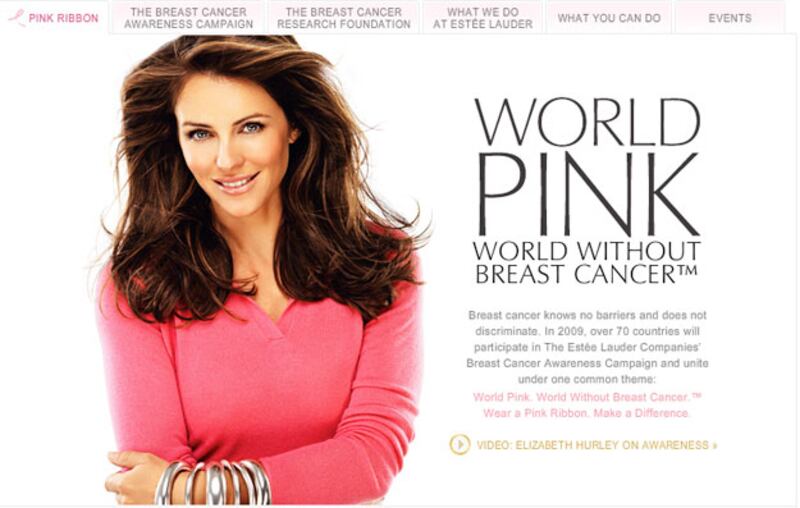 galleries/2009/11/23/our-good-giving-guide-luxurious-gifts-with-a-conscience/giving-guide---estee-lauder_sag93i