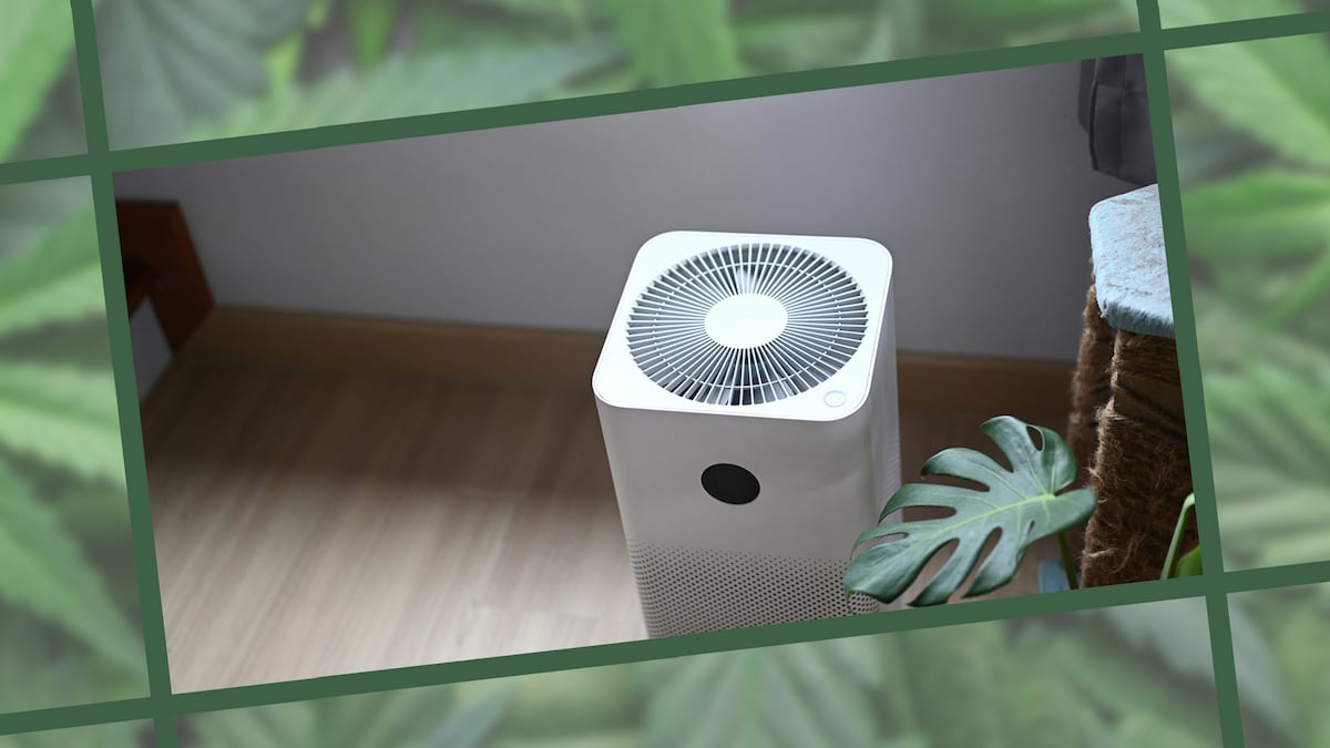 Best Air Purifiers For Smoking Weed Indoors in 2023 Best Air Purifiers For Smoking Weed Indoors in 2023