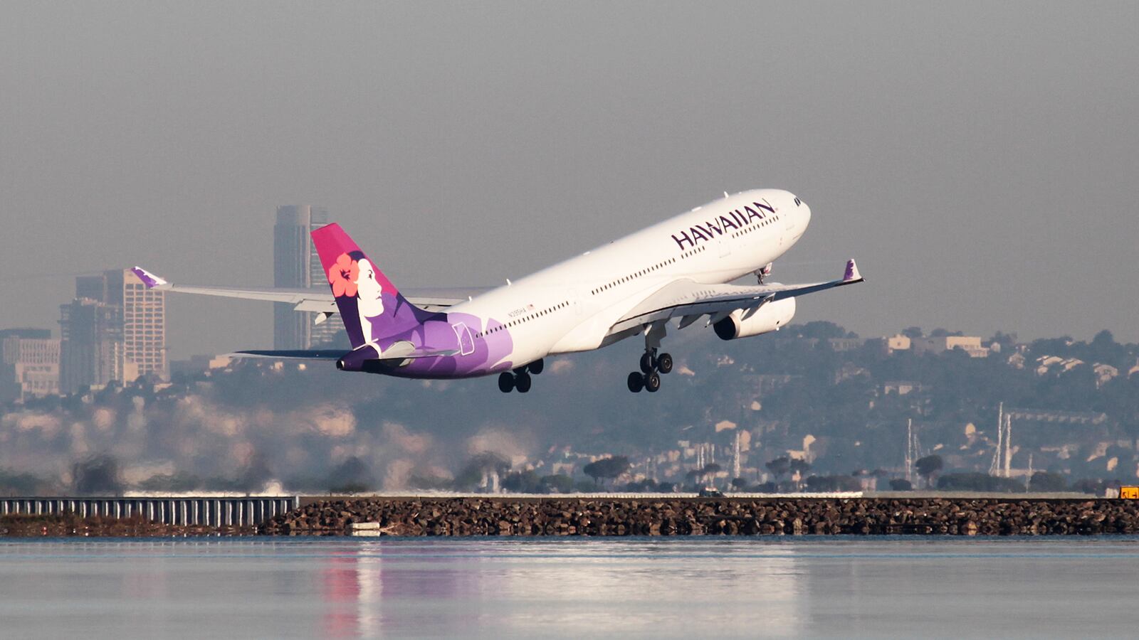 A picture of a Hawaiian Airlines plane. Dr. Sudipta Mohanty from Boston was arrested and charged Thursday for allegedly exposing himself and masturbating while seated next to a 14-year-old girl onboard a Hawaiian Airlines flight.