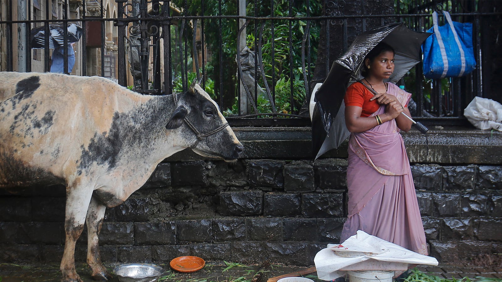 articles/2015/08/03/nothing-s-secular-in-modi-s-india/150721-seervai-beef-india-tease_s7ul9w