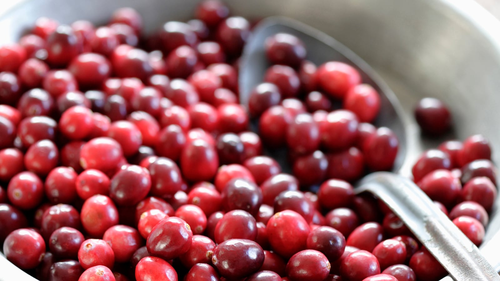 articles/2012/11/20/sam-sifton-s-thanksgiving-recipes/sam-sifton-thanksgiving-baker_rxbzdt