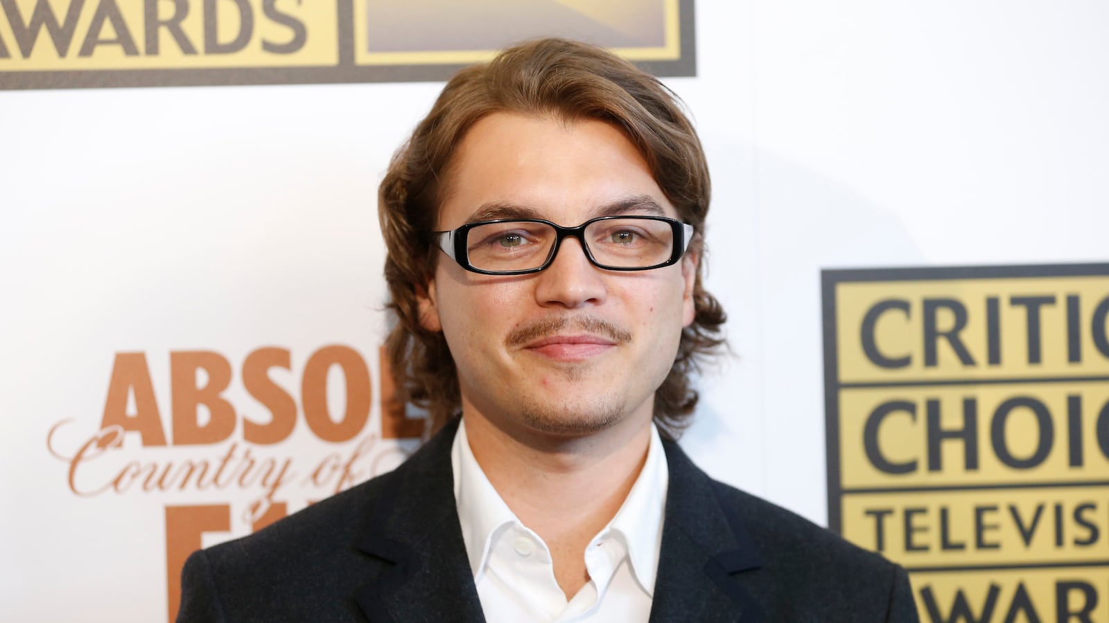 cheats/2015/08/17/emile-hirsch-pleads-guilty-to-assault/150817-hirsch-cheat_bmr7ak