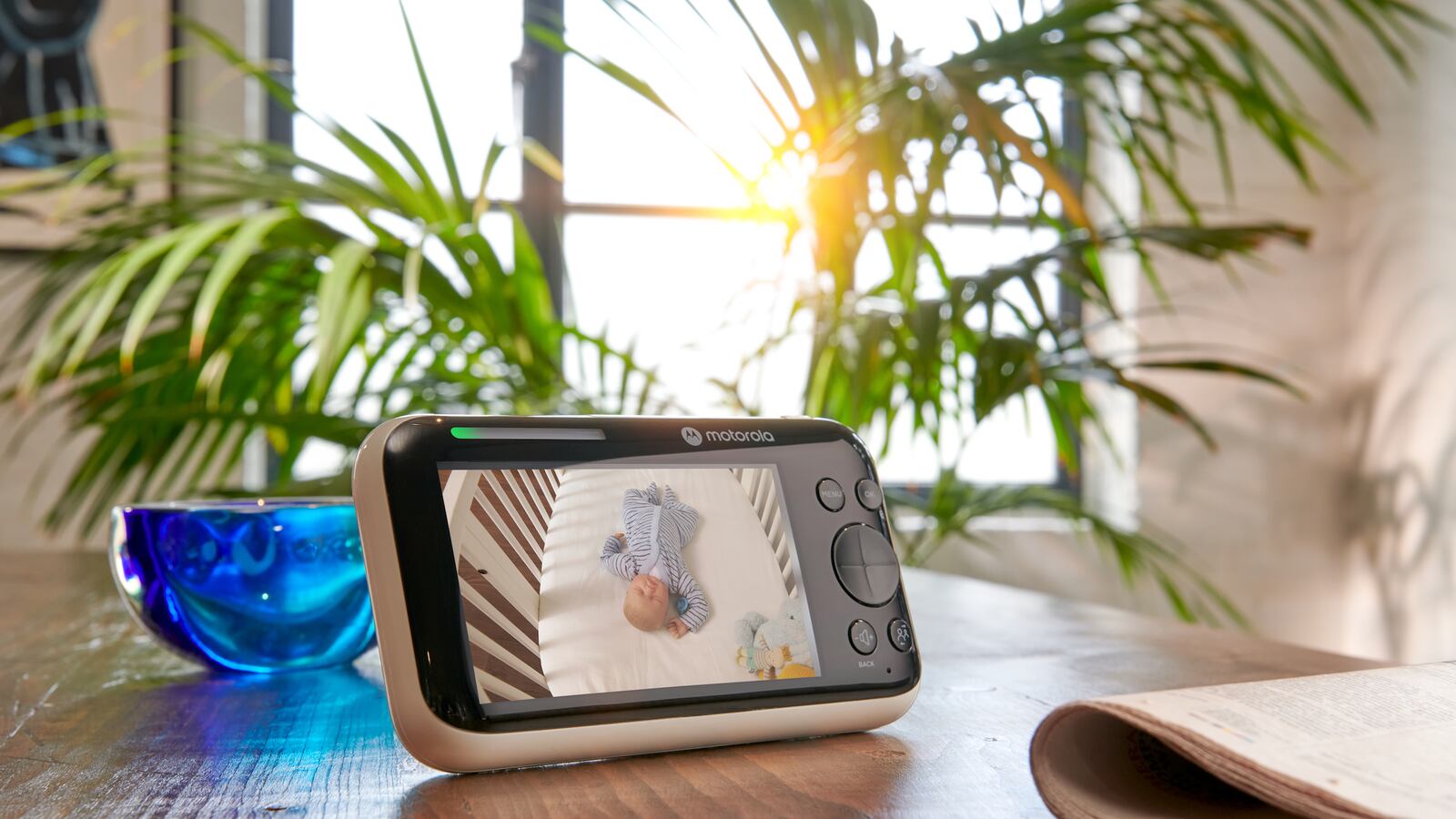 PIP_MONITOR_L07_copy_nytxxr