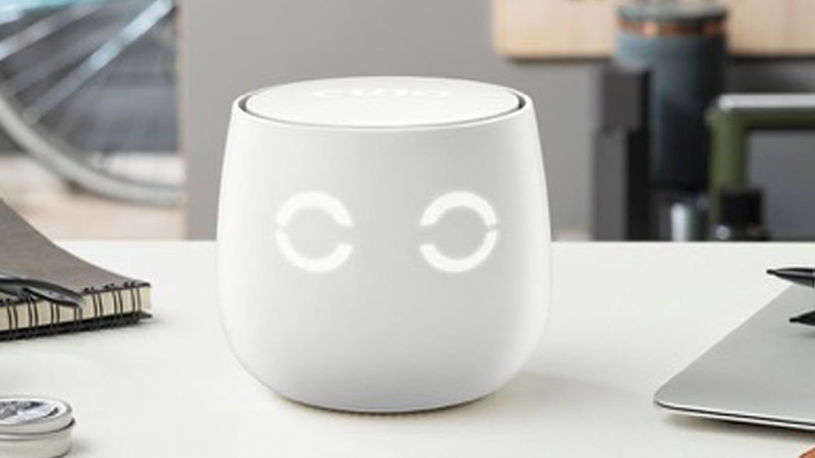 20170622_Cujo_qmiqdz