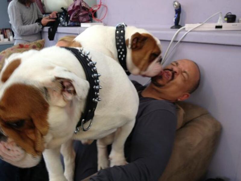 galleries/2012/09/30/justin-bieber-oprah-winfrey-more-celebrity-twitter-pictures-photos/brian-badie_vy2zrx