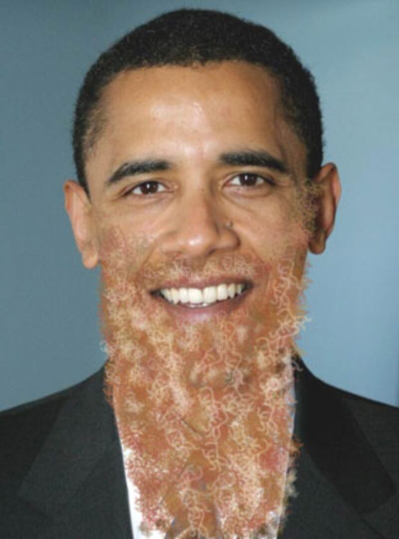 galleries/2008/12/03/should-obama-grow-a-beard/obama-beard-zz-top_fj4pih