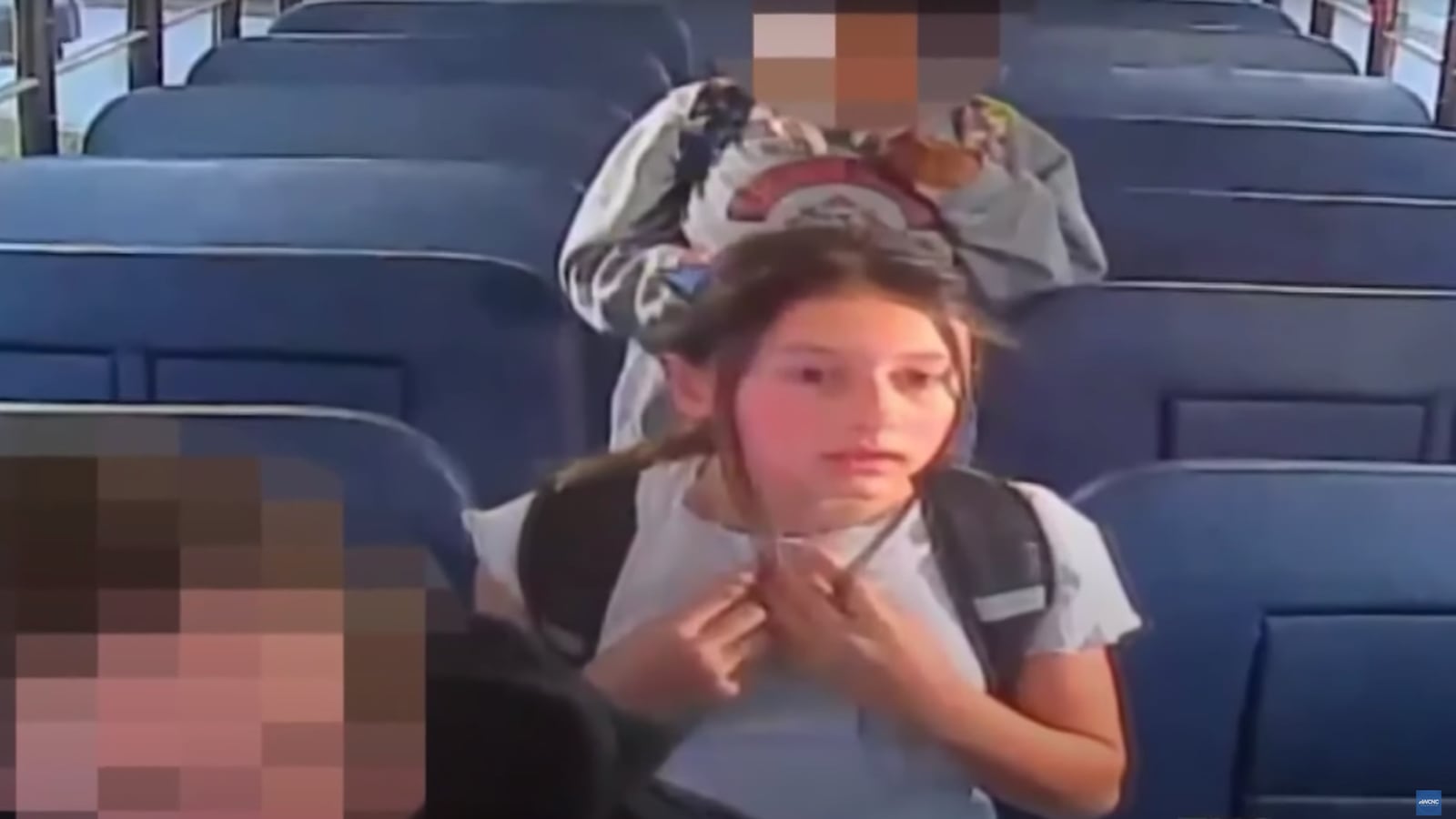 Madalina Cojocari, the schoolgirl who went missing in Cornelius, North Carolina, in November 2022.