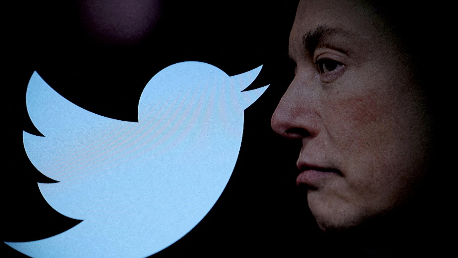 Twitter logo and a photo of Elon Musk are displayed through magnifier in this illustration taken Oct. 27, 2022.