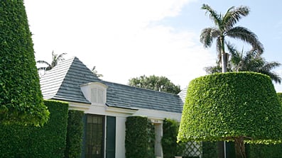 cheats/2008/12/17/the-madoff-lifestyle/madoff_cybuzl