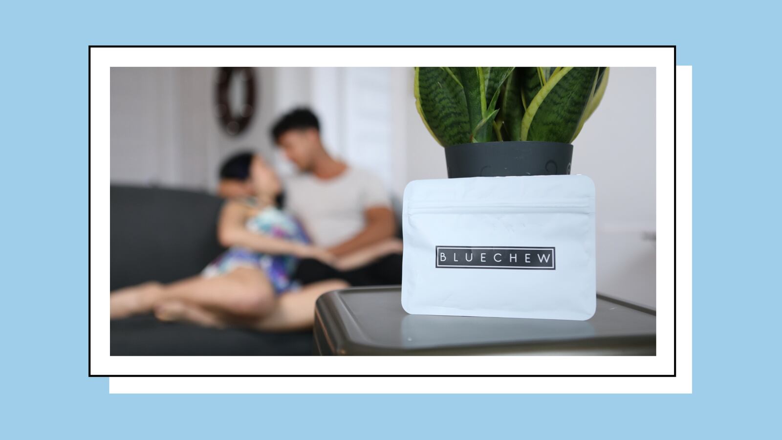 BlueChew_Hero_TDB_nv88mv