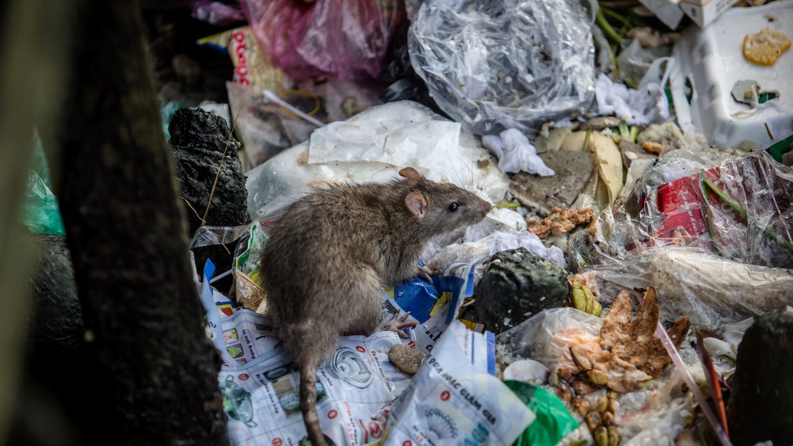 GettyImages-1059442562_cndxq3