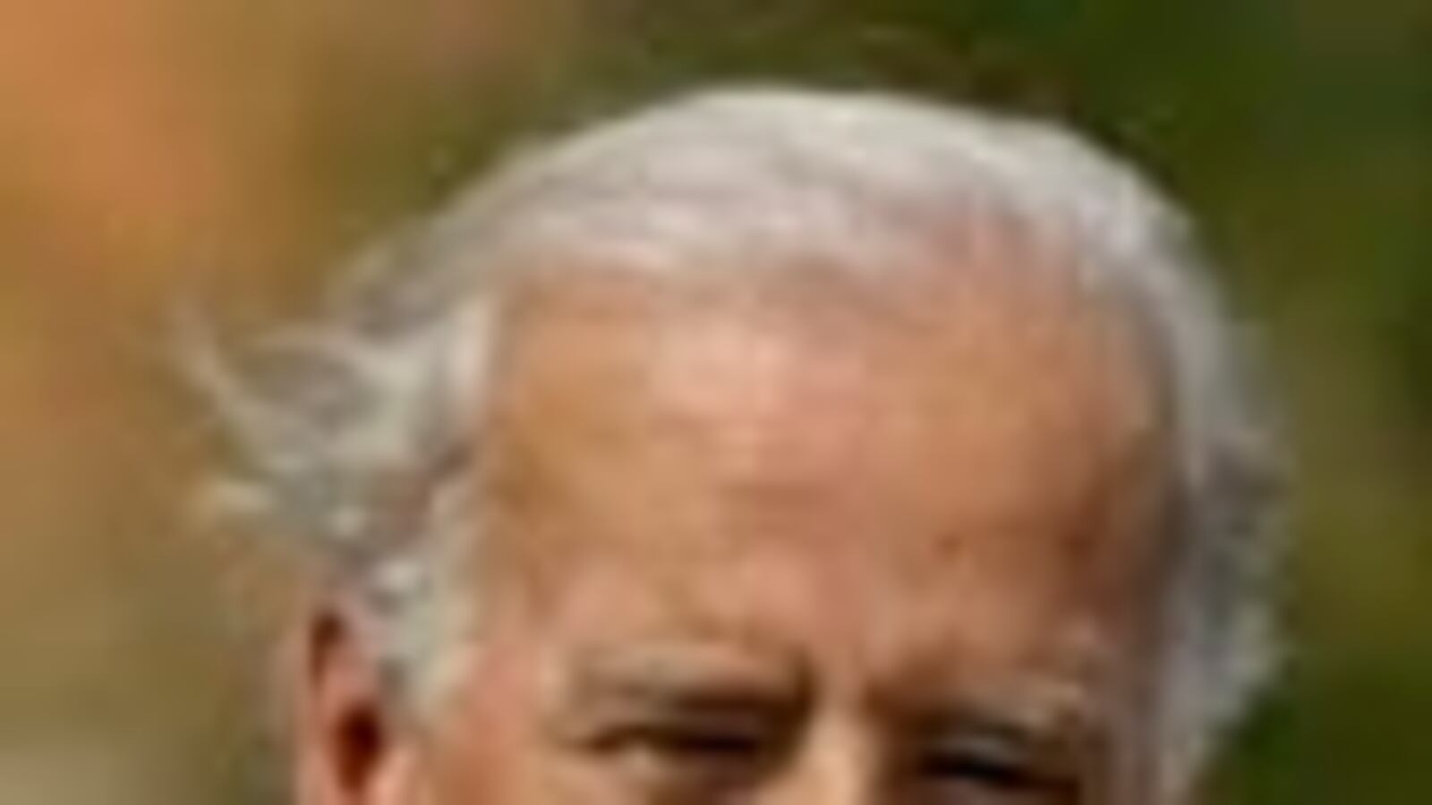 cheats/2010/03/23/biden-drops-the-f-bomb/biden-gaffes_xjgpmr