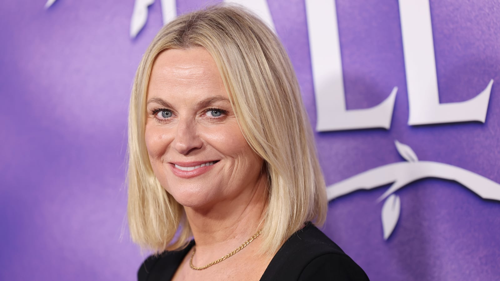 Amy Poehler attends an event at the El Capitan Theatre on September 16, 2024 in Los Angeles, California.