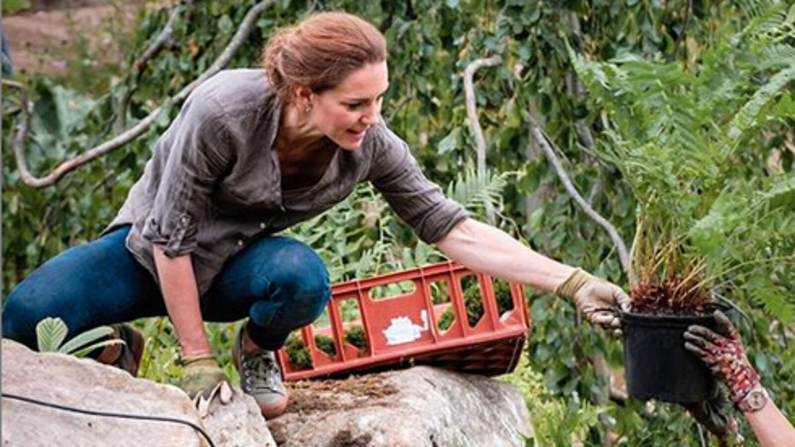 Screenshot_2020-05-20_12.49.45_iniba2