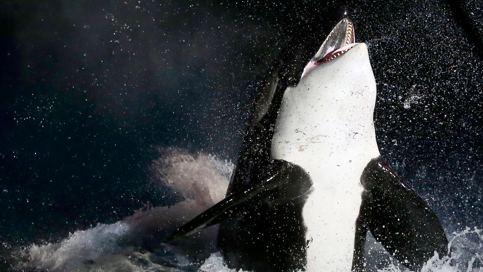 GettyImages-176232063_kfxk4d