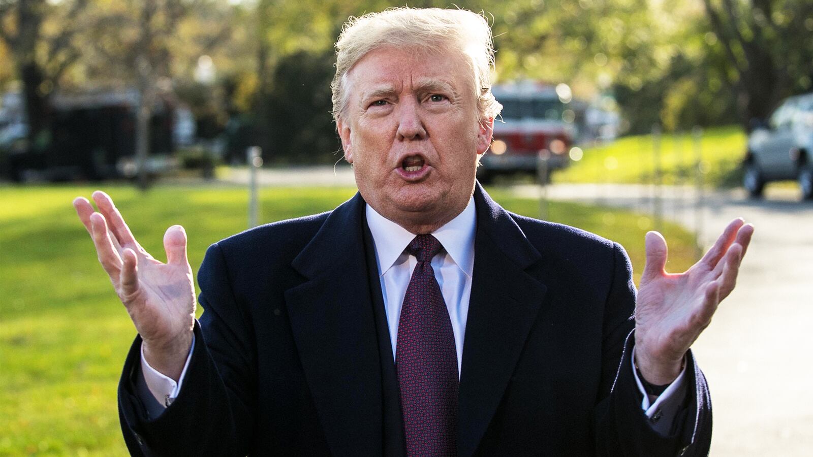 181121-Swin-Betsy-Banco-trump-tease_omcrjf