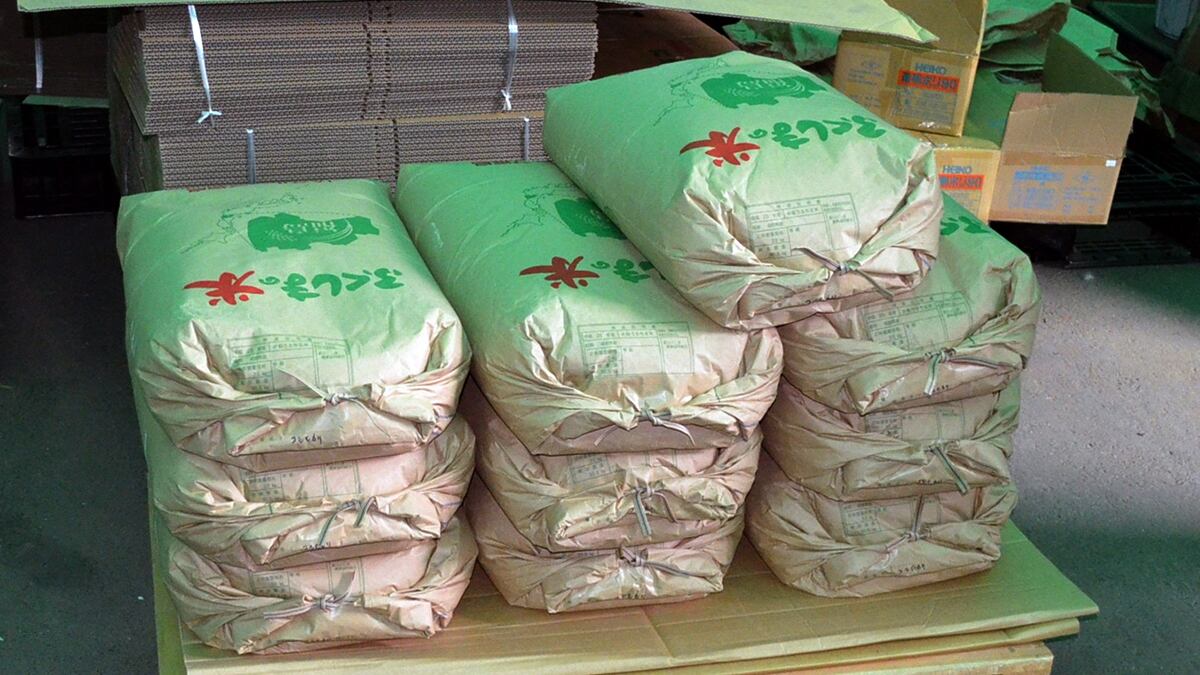 cheats/2011/11/17/japan-bans-fukushima-rice/rice-japan-fukushima-radiation-cs_tjxkoy