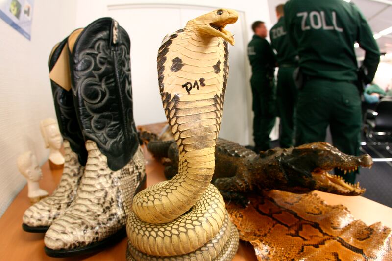 galleries/2014/07/20/confiscated-contraband-animals-in-airports/140717-airport-confiscated-6_qtkf5c