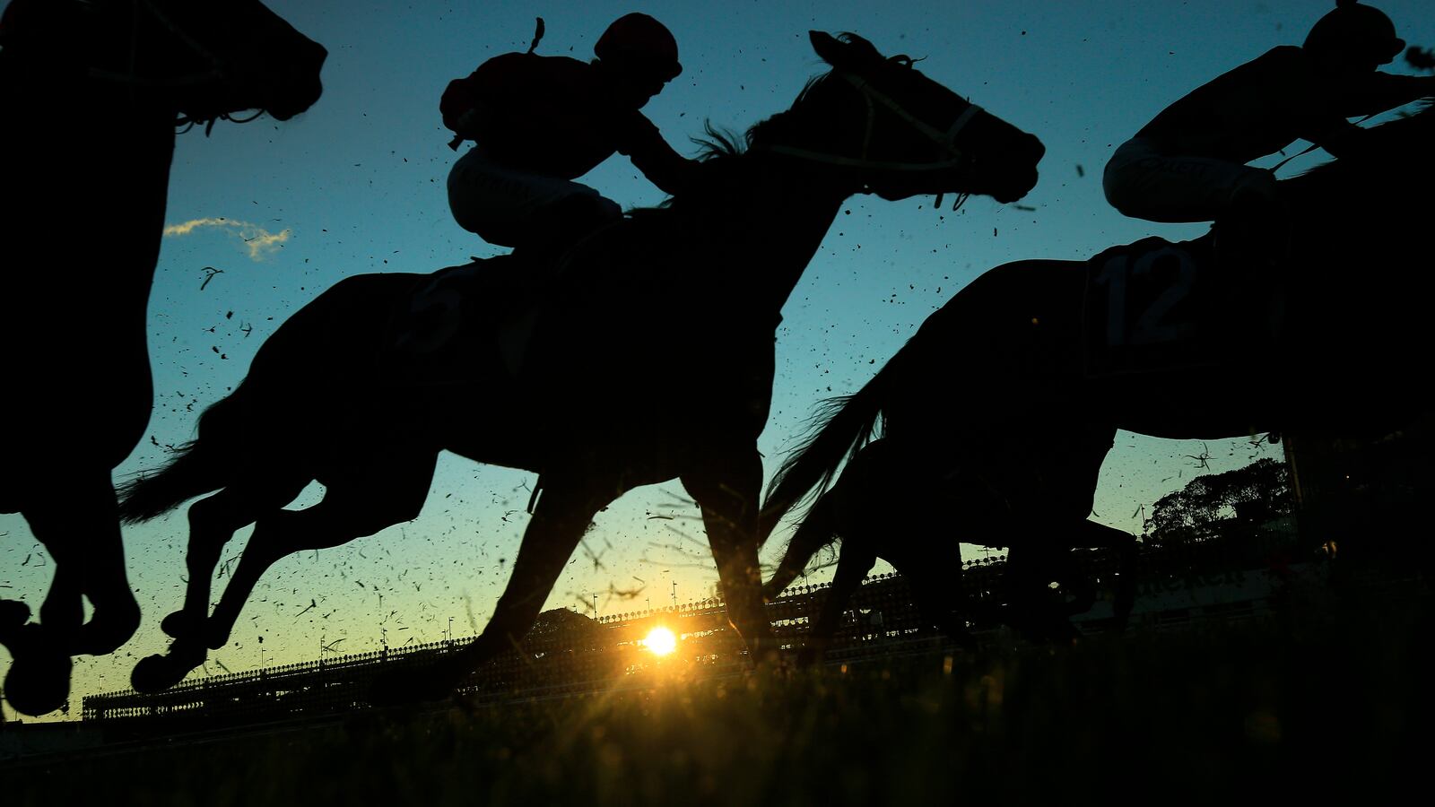 Riders compete in race 9 the Cactus Imaging Sprint during Sydney Racing on Winx Stakes Day at Royal Randwick Racecourse