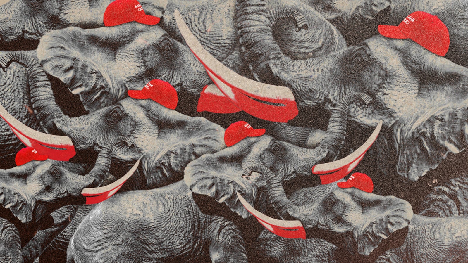 120822-lewis-maga-hero_ynxc3h