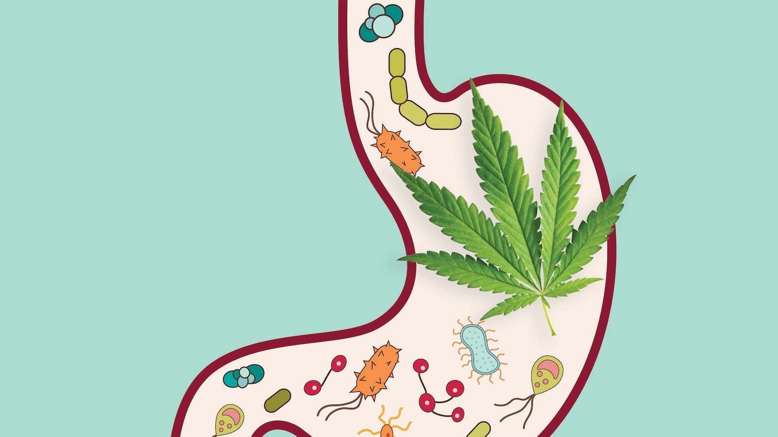 articles/2016/10/02/can-smoking-pot-treat-incurable-disease/160930-Morson-stomach-problems-tease_kjvwuz