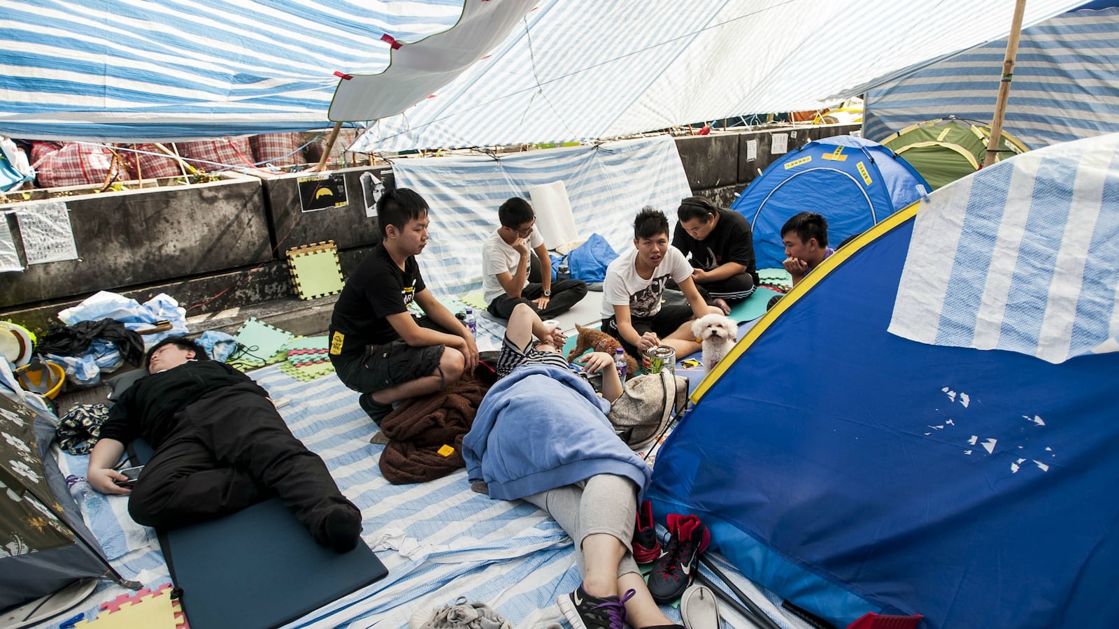 cheats/2014/11/17/hong-kong-police-to-clear-streets-this-week/141117-hong-kong-protests-cheat_ba2j3i