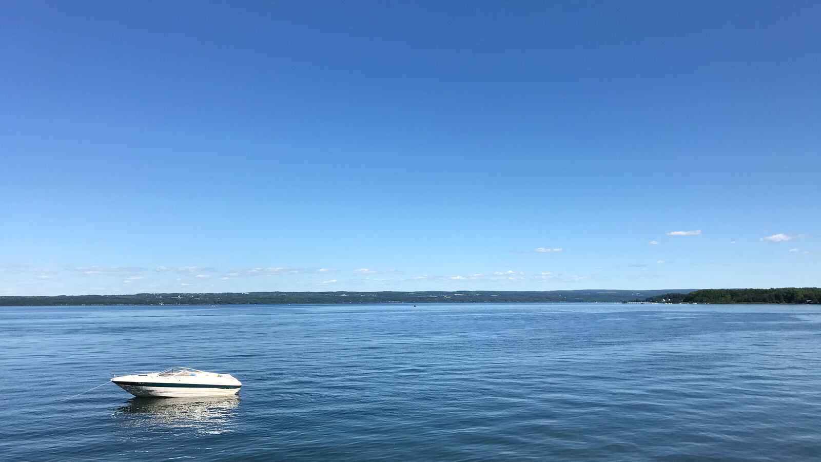 190310-otis-finger-lakes-hero_wkbkzb