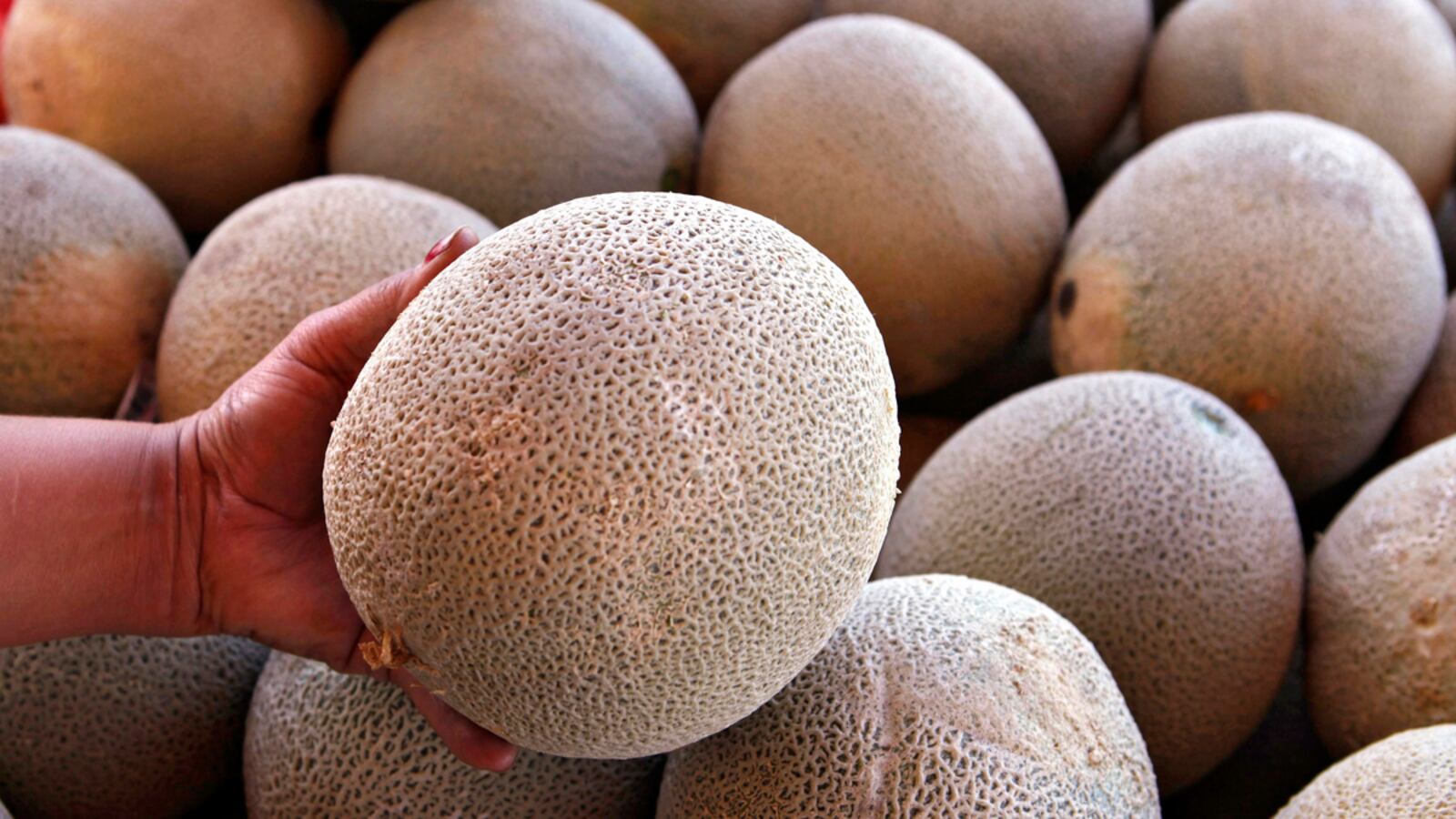 cheats/2013/09/26/farmers-arrested-for-listeria-outbreak/listeria-cantaloupes-cheat_hfivnt