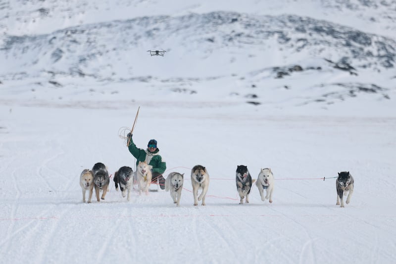 ILULISSAT, GREENLAND - MARCH 08: A musher races to the finish line during a dog sled race to determine which contestant attends the national competition on March 08, 2025, in Ilulissat, Greenland. The self-ruling Danish territory and world's largest island has been thrust into the geopolitical spotlight as U.S. President Donald Trump has vowed to acquire it, citing its strategic value, drawing objections from Danish and Greenlandic leaders. In his State of the Union address, Trump said the US needed Greenland for national security and would "get it one way or the other," but added that he supported Greenlanders' right to determine their own future. The territory holds its general election on March 11. (Photo by Joe Raedle/Getty Images)
