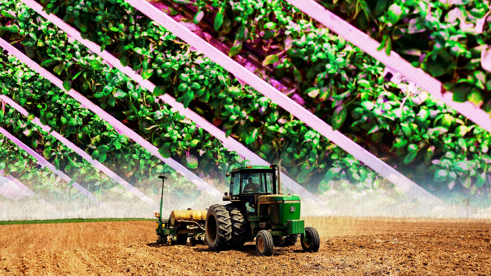 211124-vertical-farming-tease-01_jhx8xd