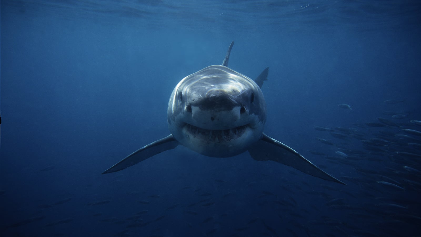 GettyImages-124770742_eqdbqj