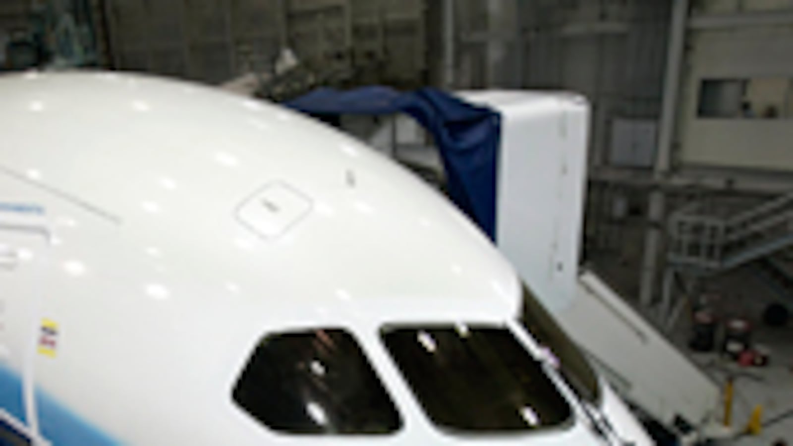 cheats/2009/07/30/boeing-jets-weak-wings/irving-boeing-787-dreamliner_33656_oygqrk