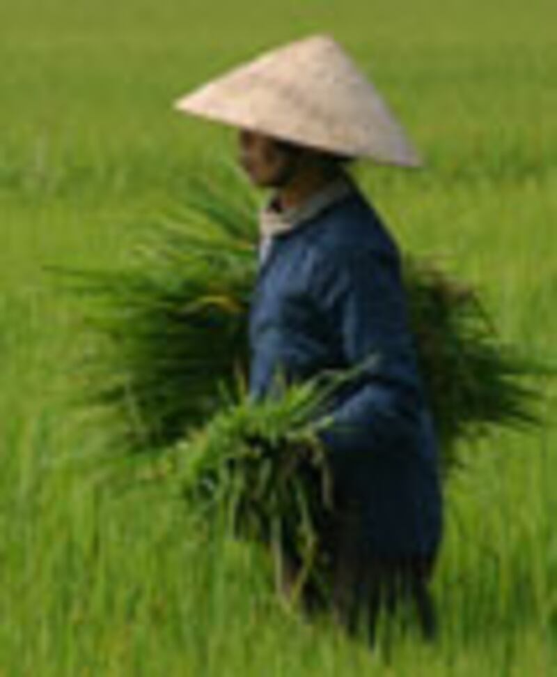 articles/2009/12/29/fresh-picks-27/fresh-picks---burrell-destination_qkbqqo