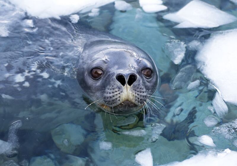 galleries/2010/03/18/life/life---14_yopsz6