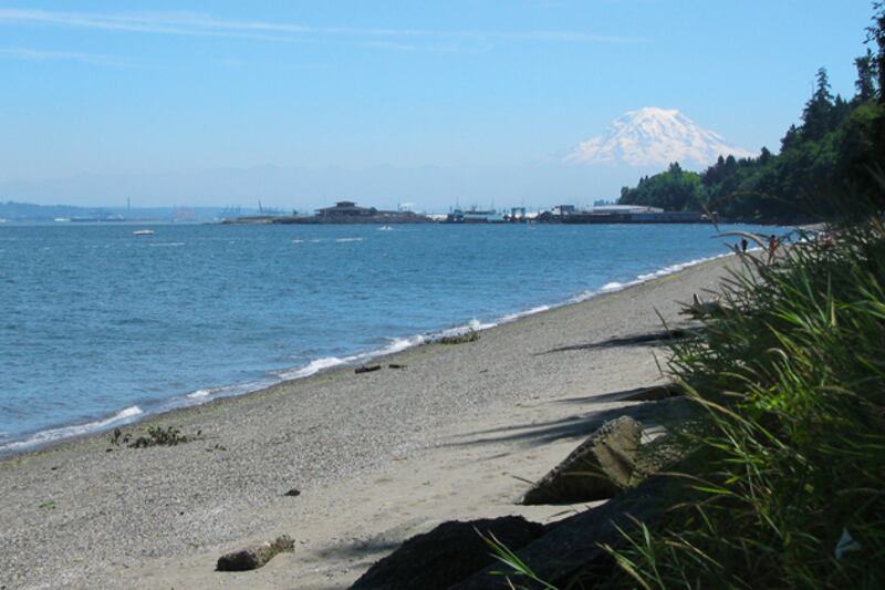 galleries/2012/06/30/dirtiest-beaches-in-america-indiana-to-maine-florida-to-california/dirtiest-beaches-owen-beach-washington_uthfvc