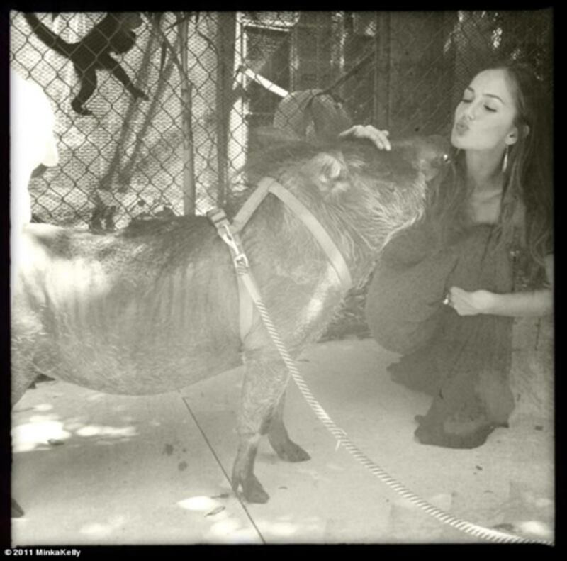 galleries/2011/10/09/sofia-vergara-ann-curry-elizabeth-hurley-more-celebrity-twitter-photos/minka-kelly-best-celebrity-twitter-photos_v3ecaw