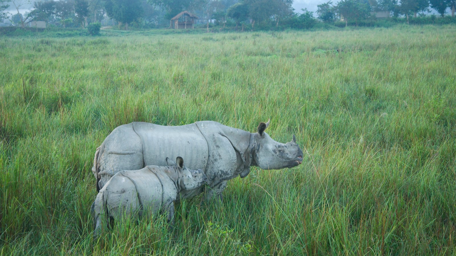 GettyImages-167646779_t3swkn