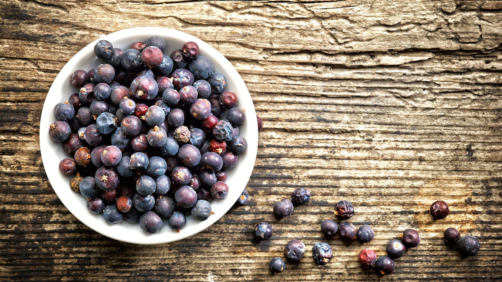 180112-rothbaum-juniper-tease-1_y1diqw