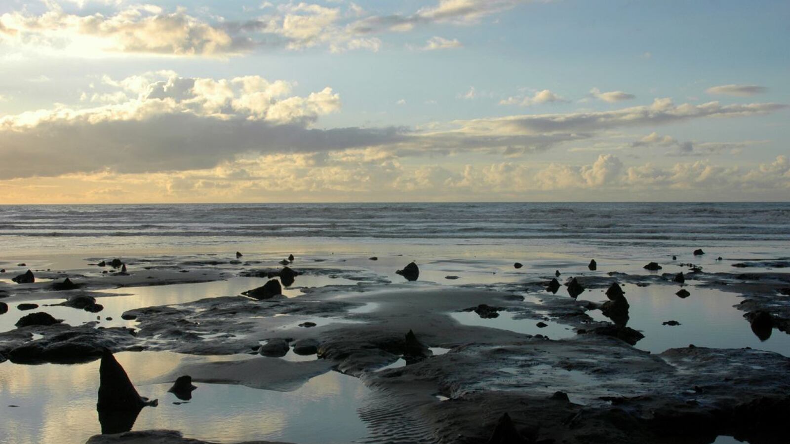 cheats/2014/06/24/sunken-british-forest-re-emerges/140624-forest-cheat_ikgnup