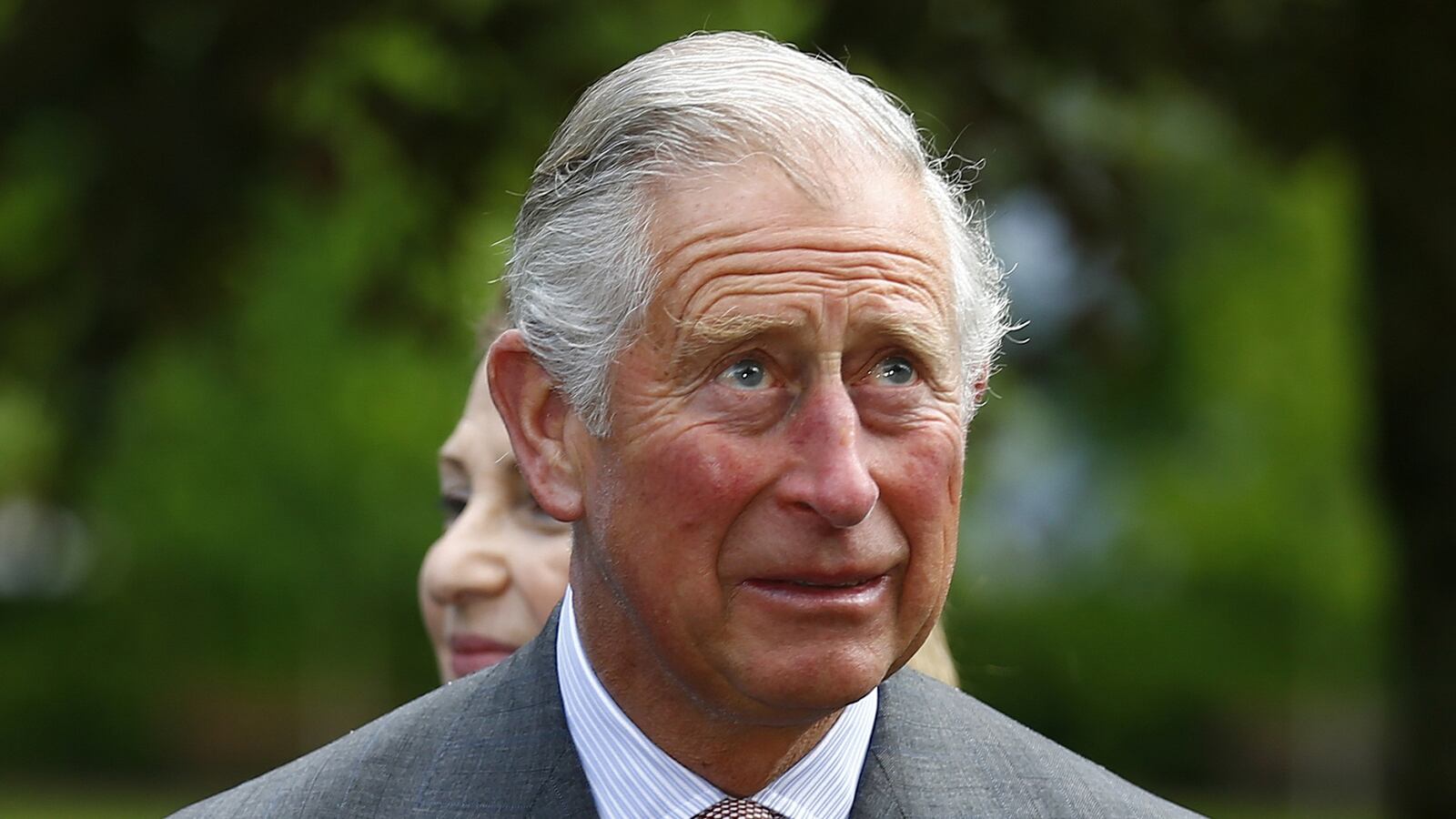 articles/2015/06/07/why-prince-charles-should-keep-his-views-to-himself/150605-sykes-prince-charles-tease_ebznvp
