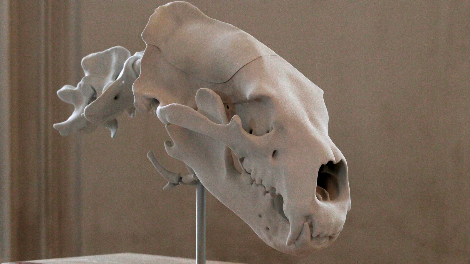 2011-04-01T120000Z_1192951135_BM2E7410YYW01_RTRMADP_3_GERMANY-KNUT_uxe7ms