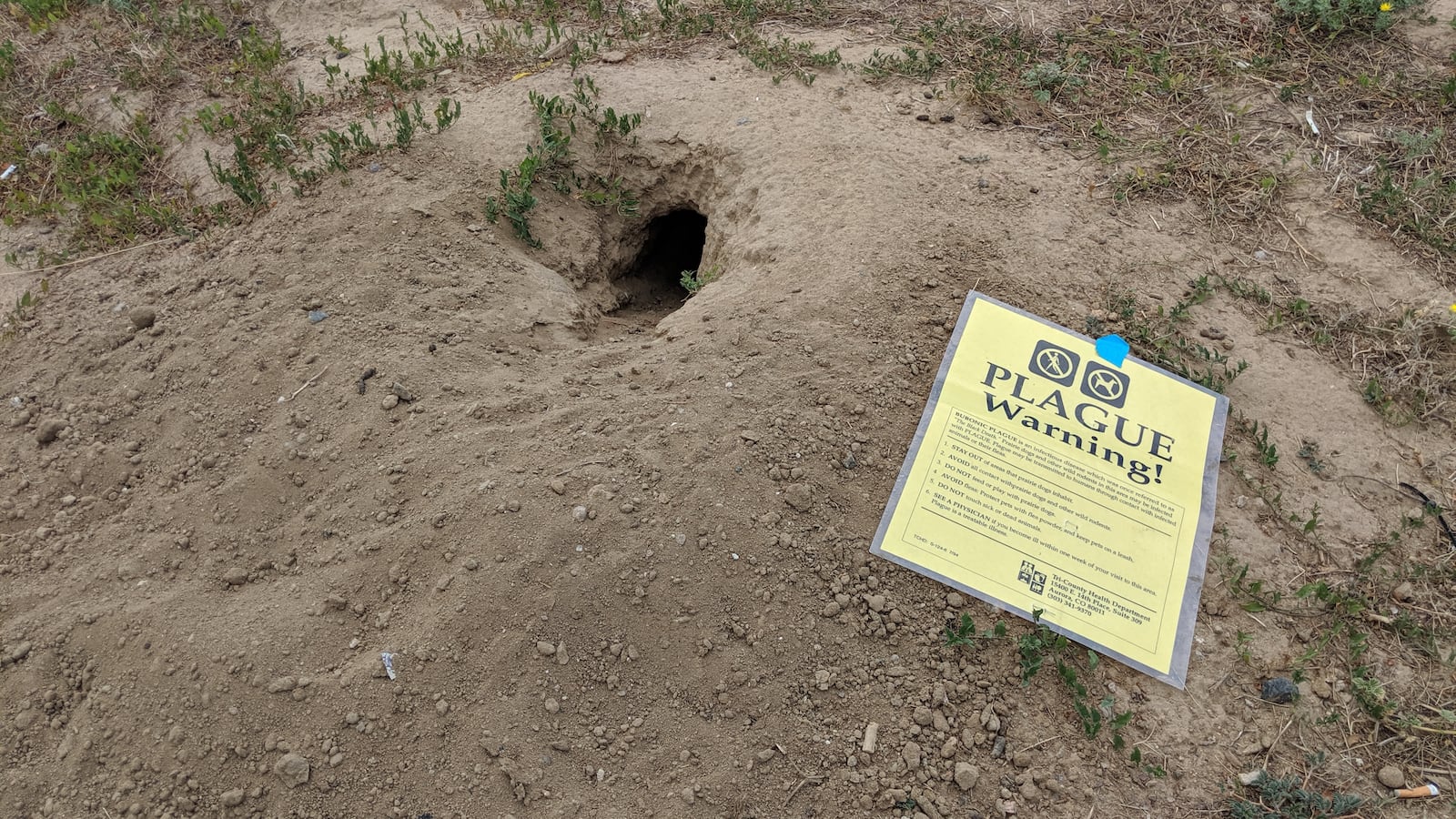 2019-08-10T232851Z_1843137150_NOCID_RTRMADP_3_MLS-SAN-JOSE-EARTHQUAKES-AT-COLORADO-RAPIDS_ktylcz