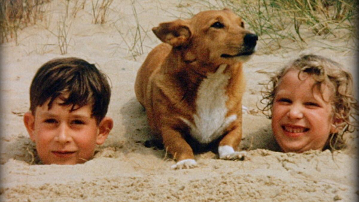 articles/2014/07/14/cricket-at-the-palace/corgis-hols_ybv7iy