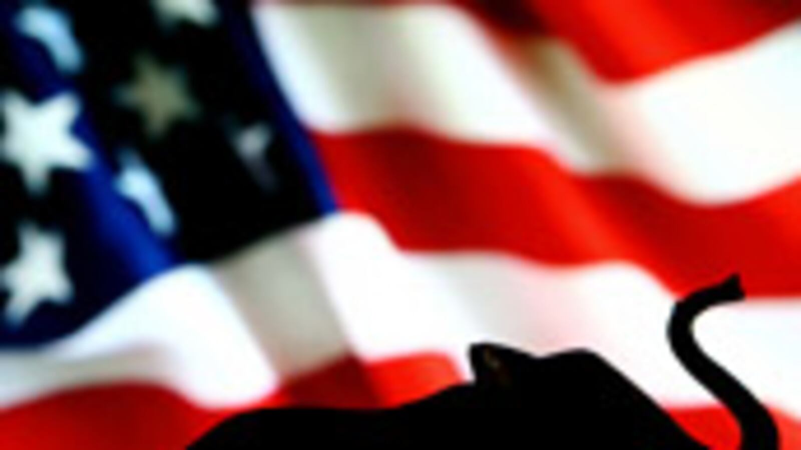 articles/2009/07/29/birthers-landing/batchelor-birthers-wrap_40383_wf6tzj