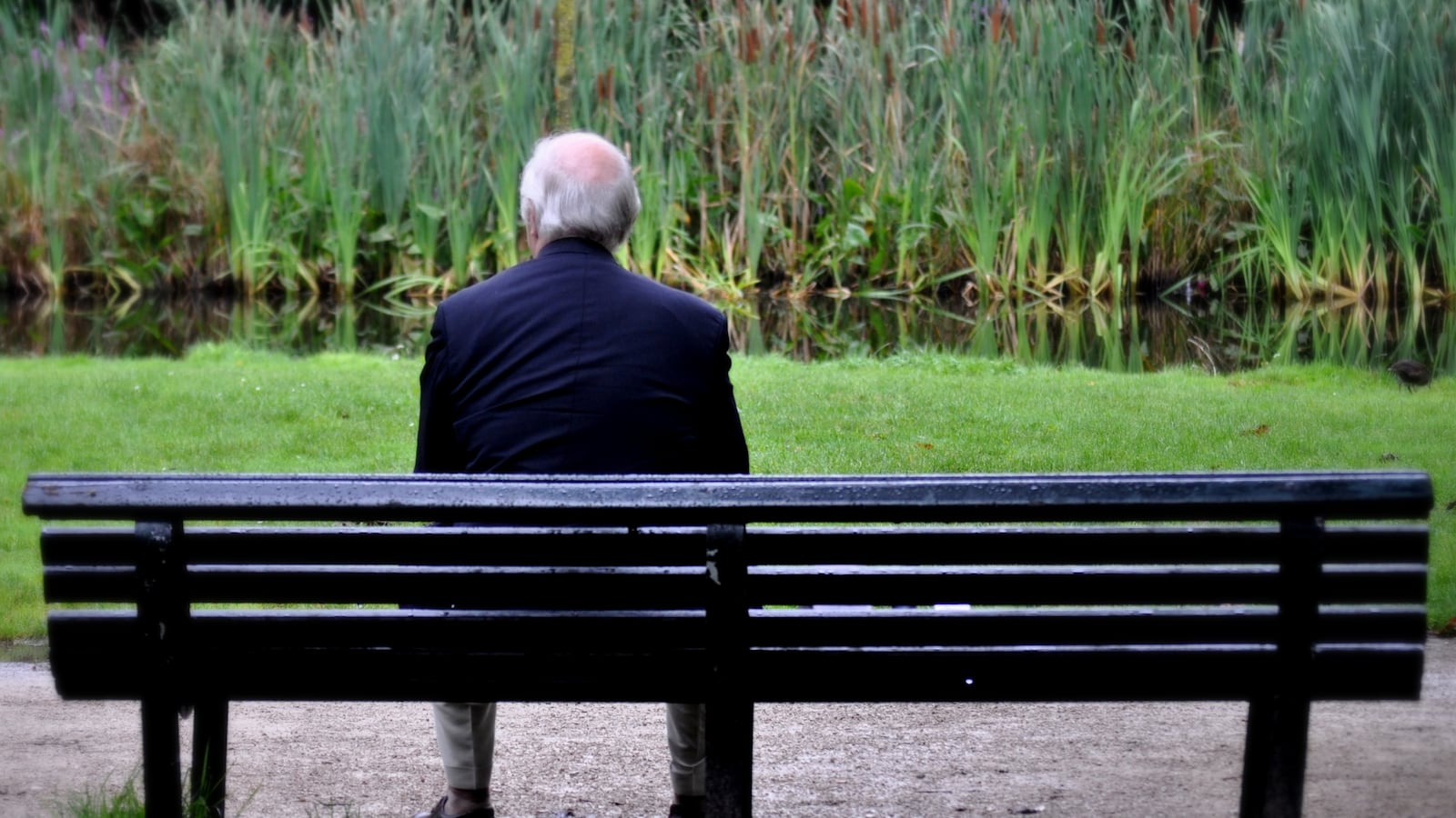 Senior man sitting on bench in garden.