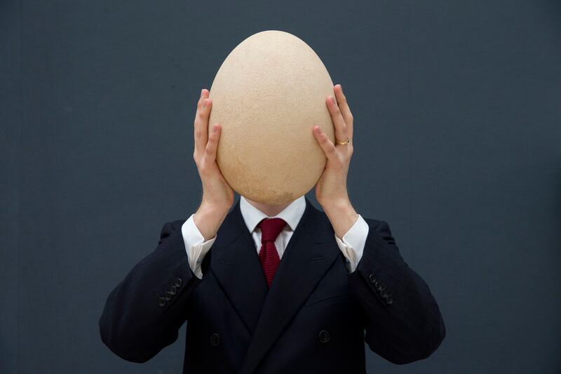 galleries/2013/03/30/week-in-photos-march-30-2013/130329-wip-egg_vxgpnb