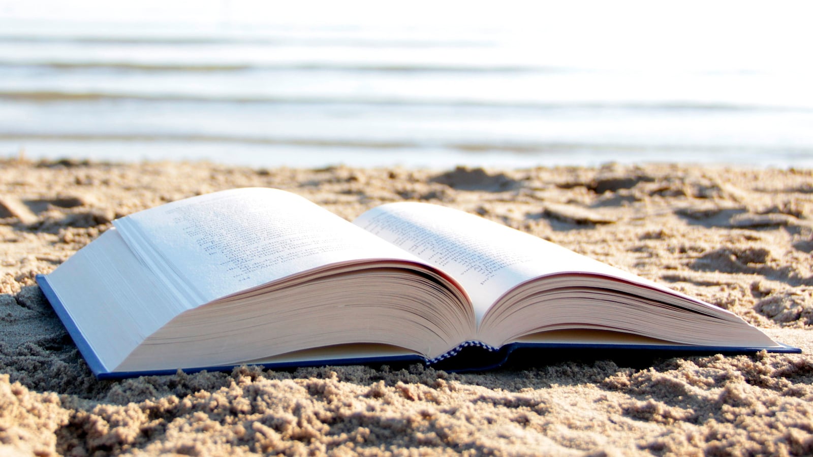 articles/2014/09/30/book-bag-overlooked-classic-books-from-the-sunshine-state/140929-wgite-book-fl-tease_zhkglf