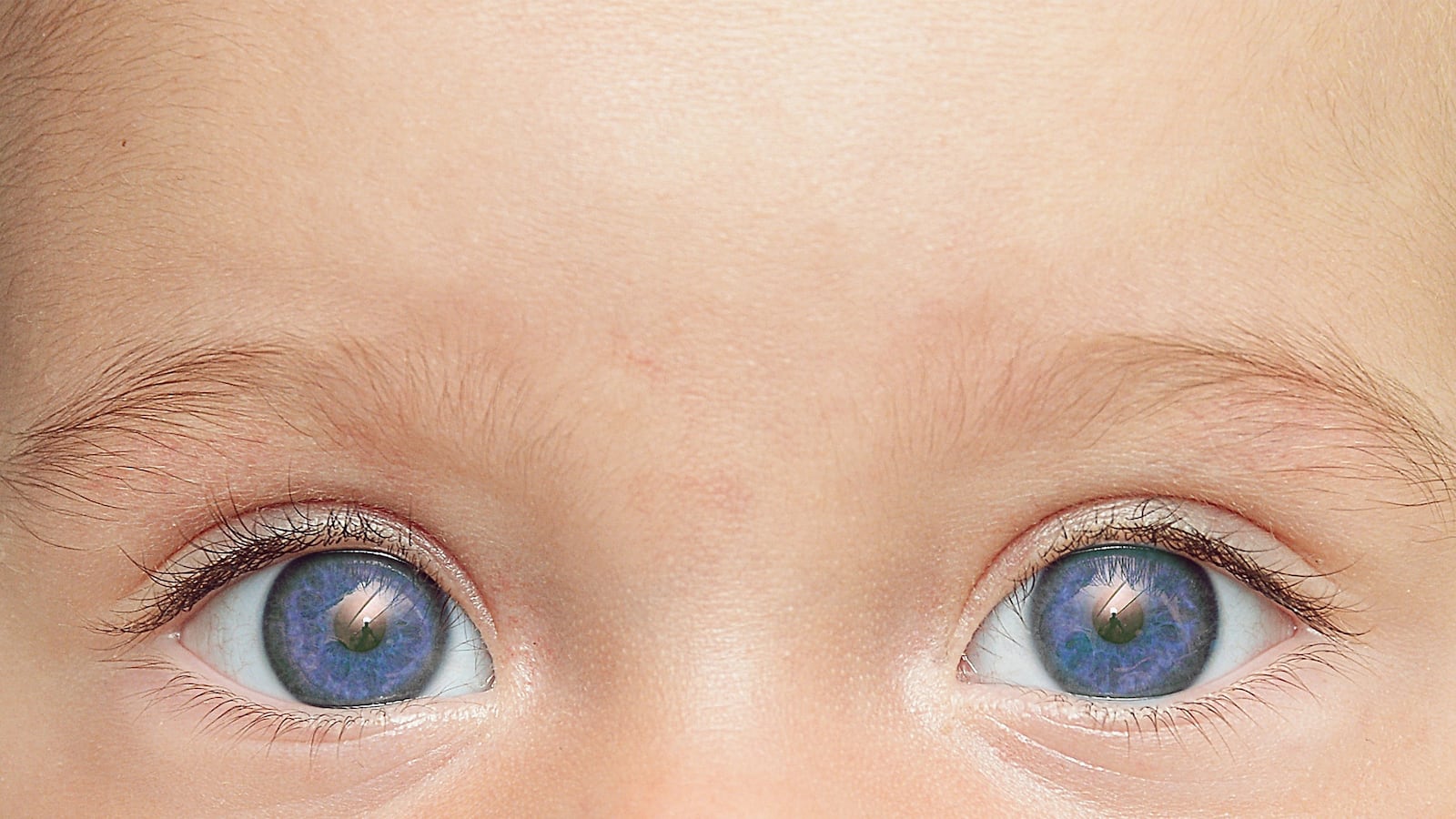 articles/2014/11/24/want-blue-eyes-with-that-baby-the-strange-new-world-of-human-reproduction/141123-clift-future-reproduction-tease_nkzjyc