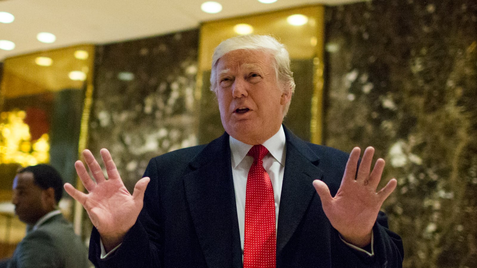 Photograph of Donald Trump campaigning in 2016.