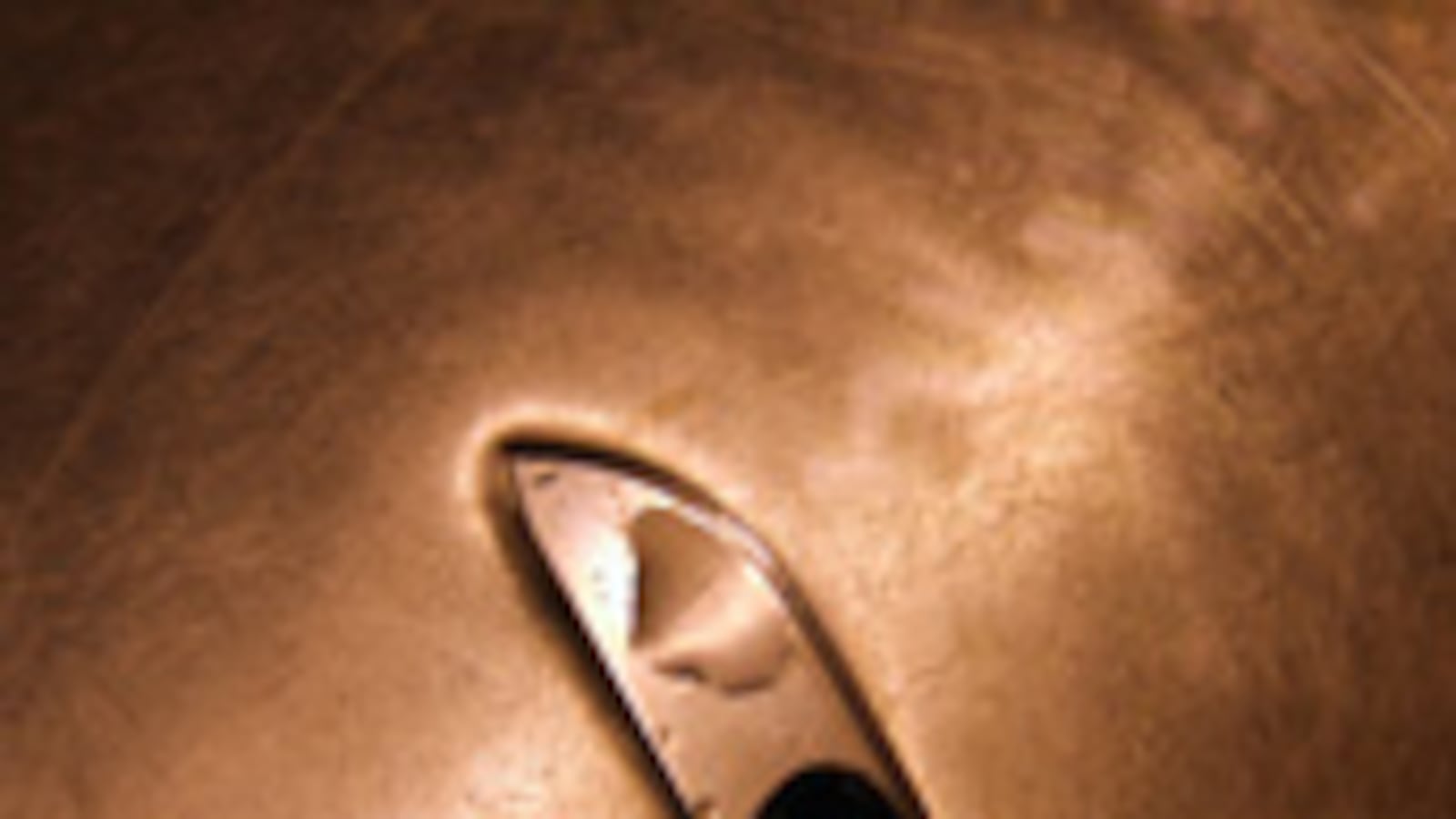 articles/2010/05/20/ayaan-hirsi-ali-on-injustice-of-female-genital-mutilation/ali-female-circumcision_102103_cwsa4b